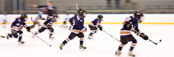 North SEERA Hockey banner