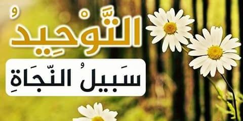 أبو حيدرة السوري. 🇸🇦 banner