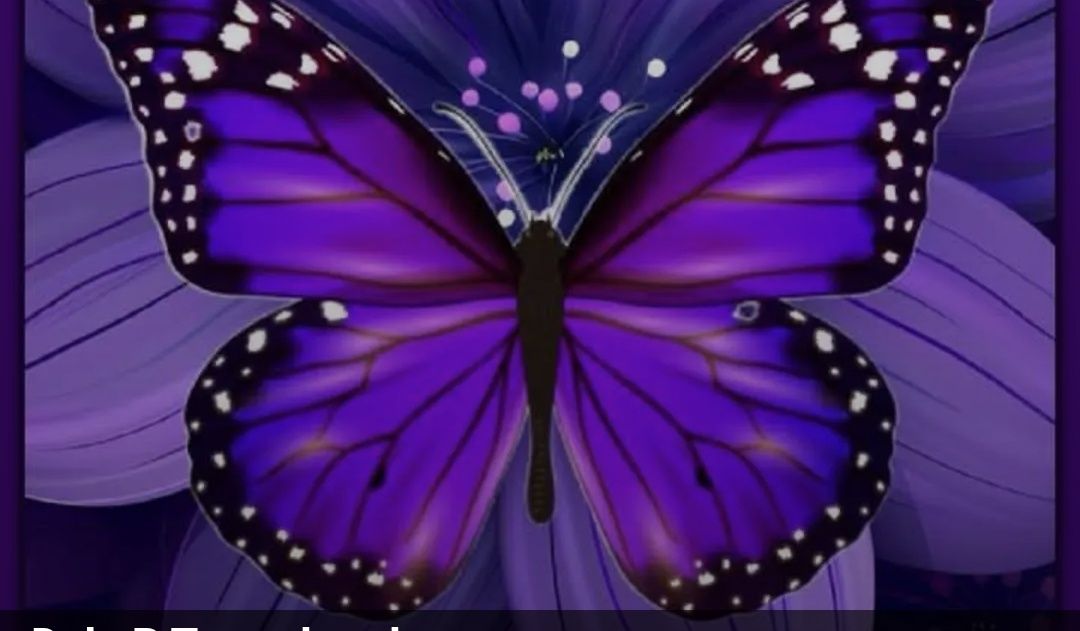 Living The Dream banner