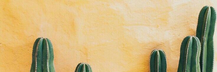 bellnommm's profile banner image