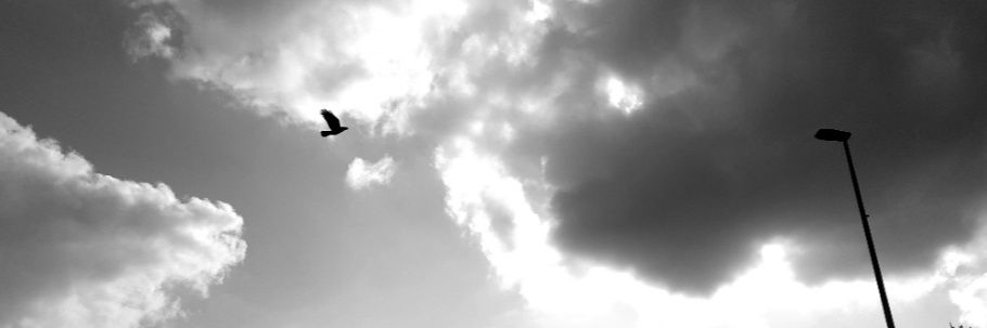 _Riz banner
