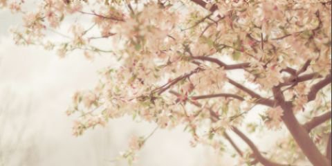 SaraRPGCuba's profile banner image