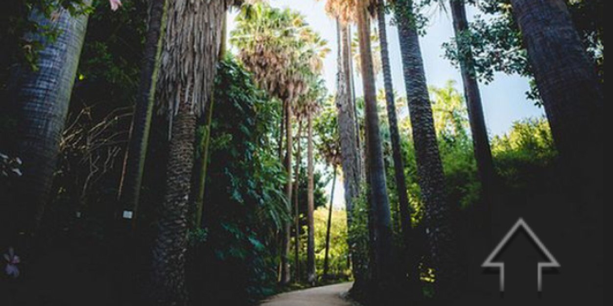 TimmyWazza's profile banner image