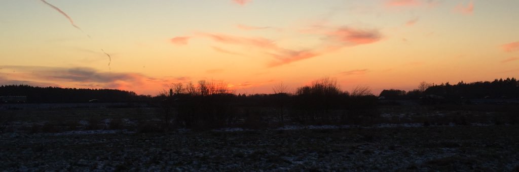 rabea1703's profile banner image