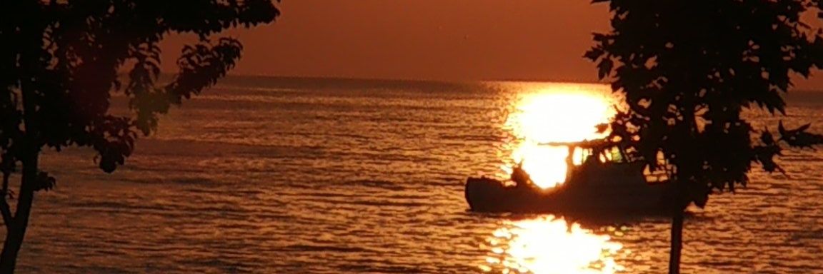 ferityenice's profile banner image
