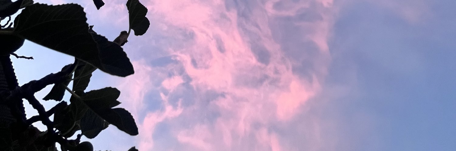 𝚂. banner