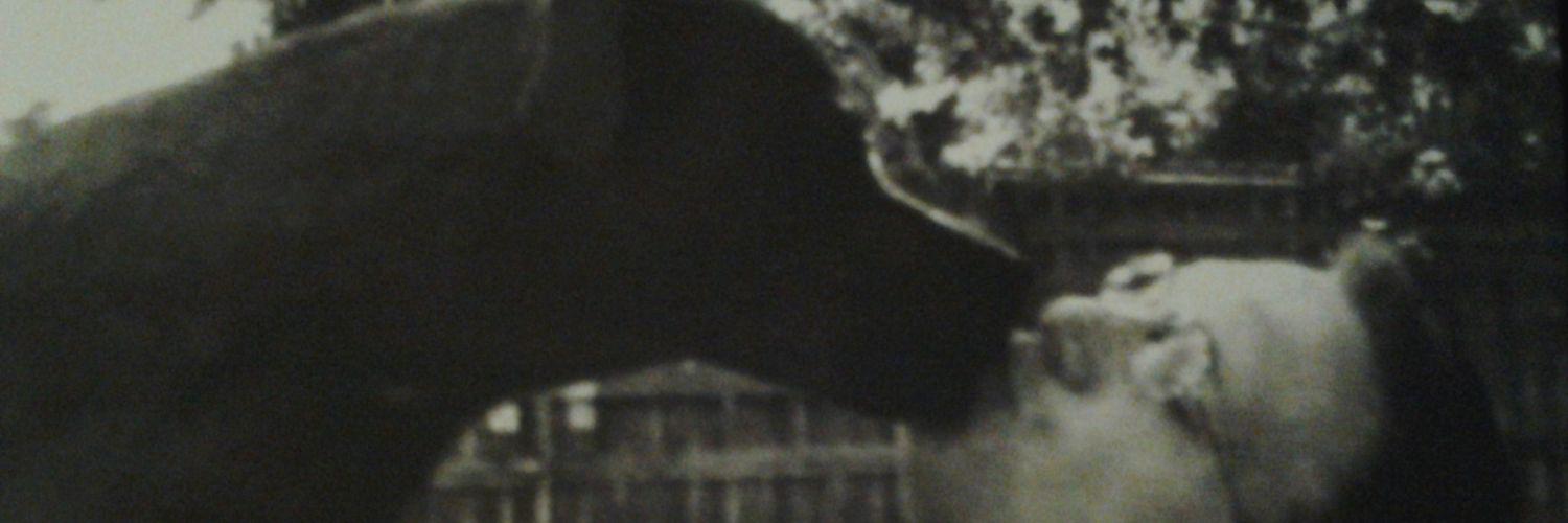 arrys44's profile banner image