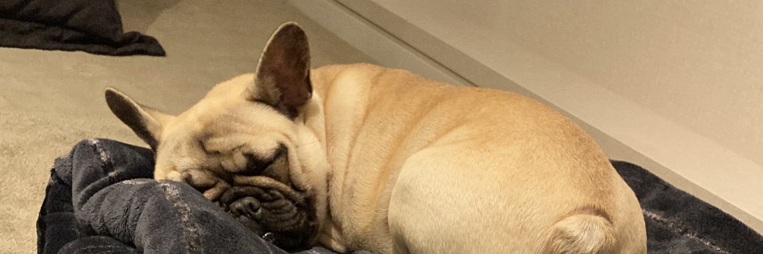 gugabinho's profile banner image