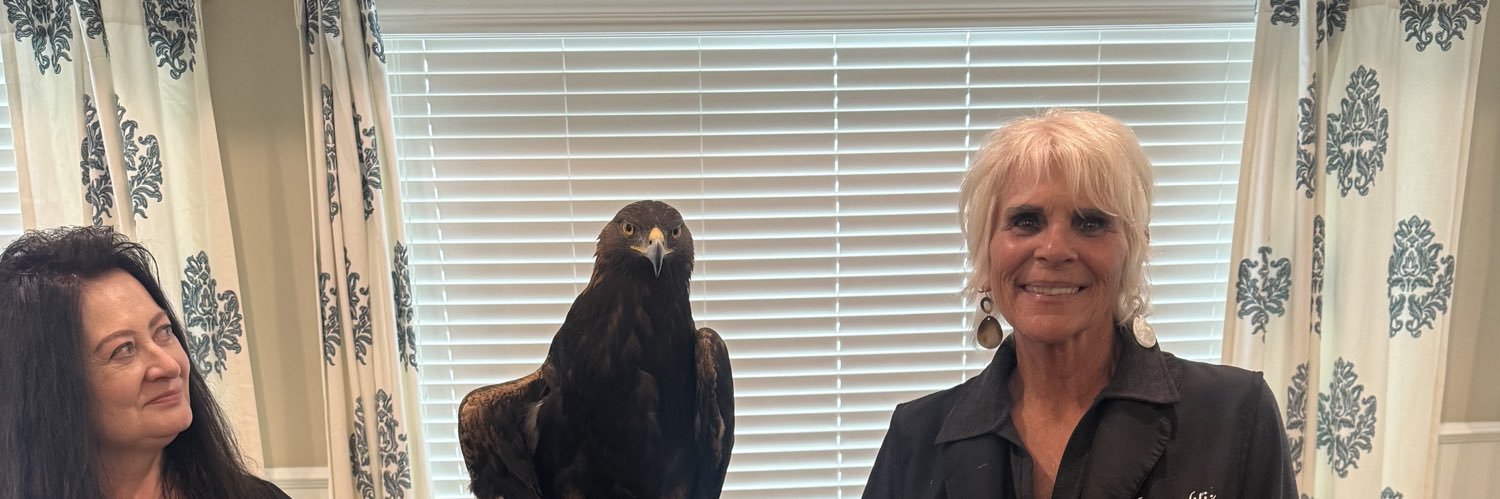 tonikj's profile banner image