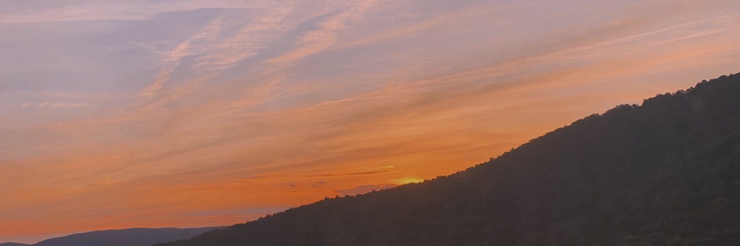 AnnieHaIl's profile banner image