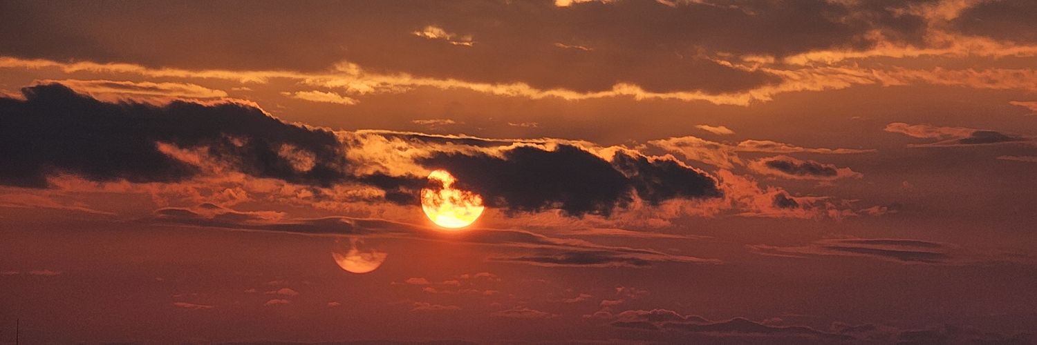 ciekawość świata banner