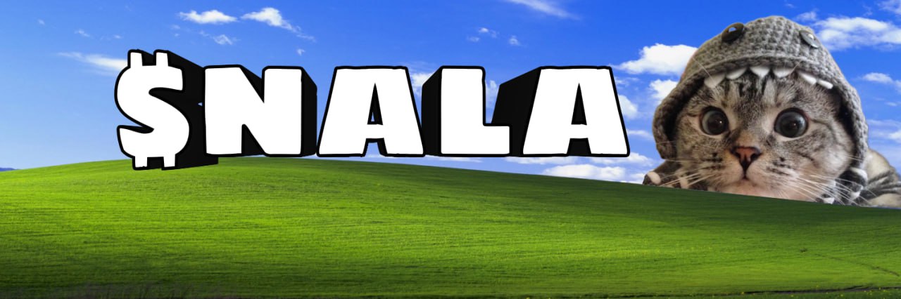 NalaTheCatonX's profile banner image