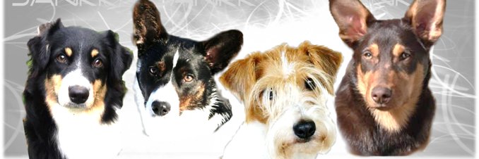 JANKK2014's profile banner image
