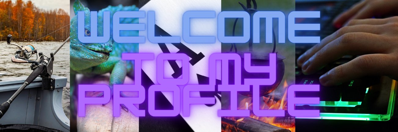 saItyfish's profile banner image