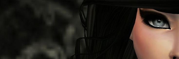 vero22bus's profile banner image