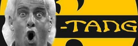 thenumberonecow's profile banner image