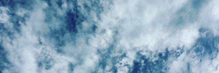 GIANNA CUCINOTTA banner