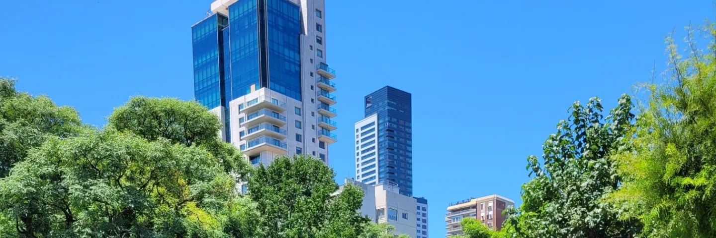 grachii4's profile banner image