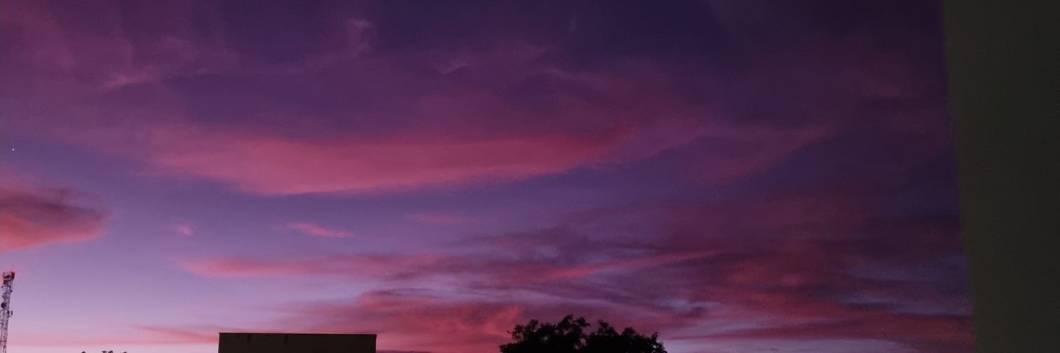 Vansnog's profile banner image