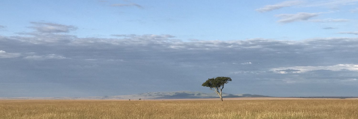 alison_achieng's profile banner image