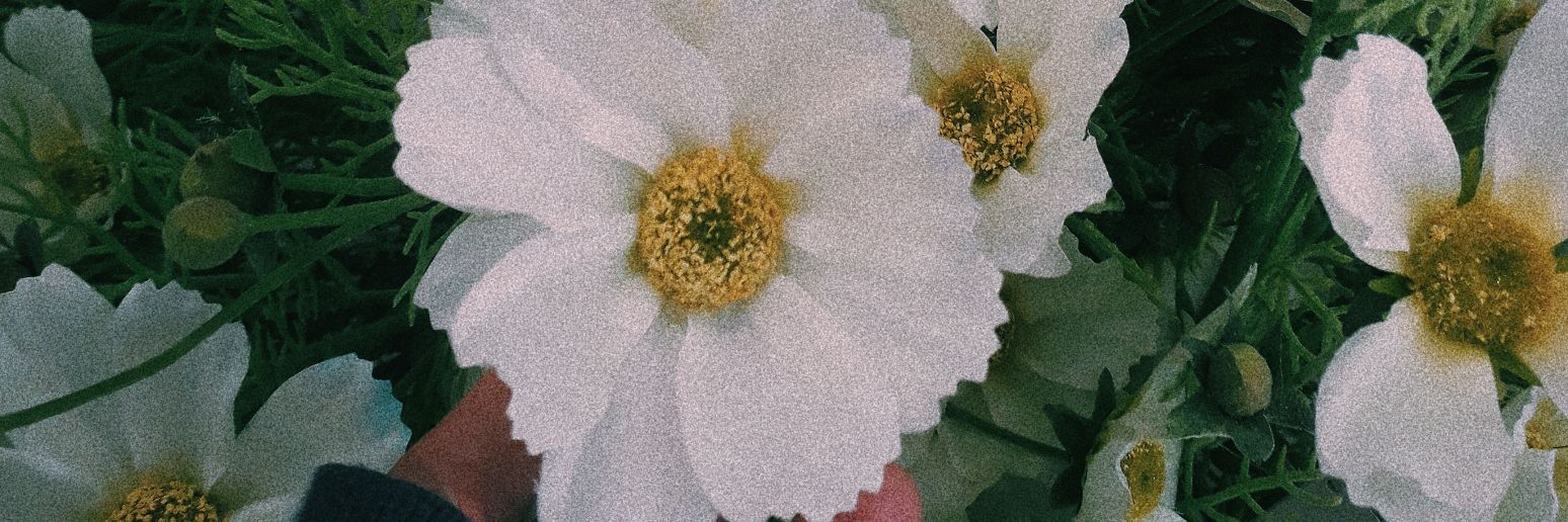esiifitrii's profile banner image