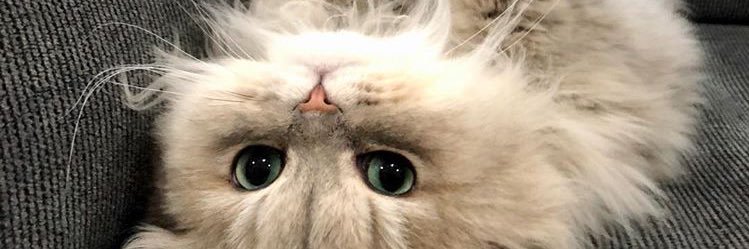 mrvtekin's profile banner image