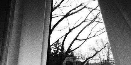 LCollinsDH's profile banner image