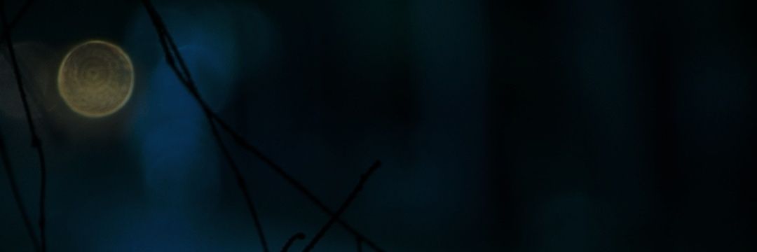 SahinogluGoker's profile banner image