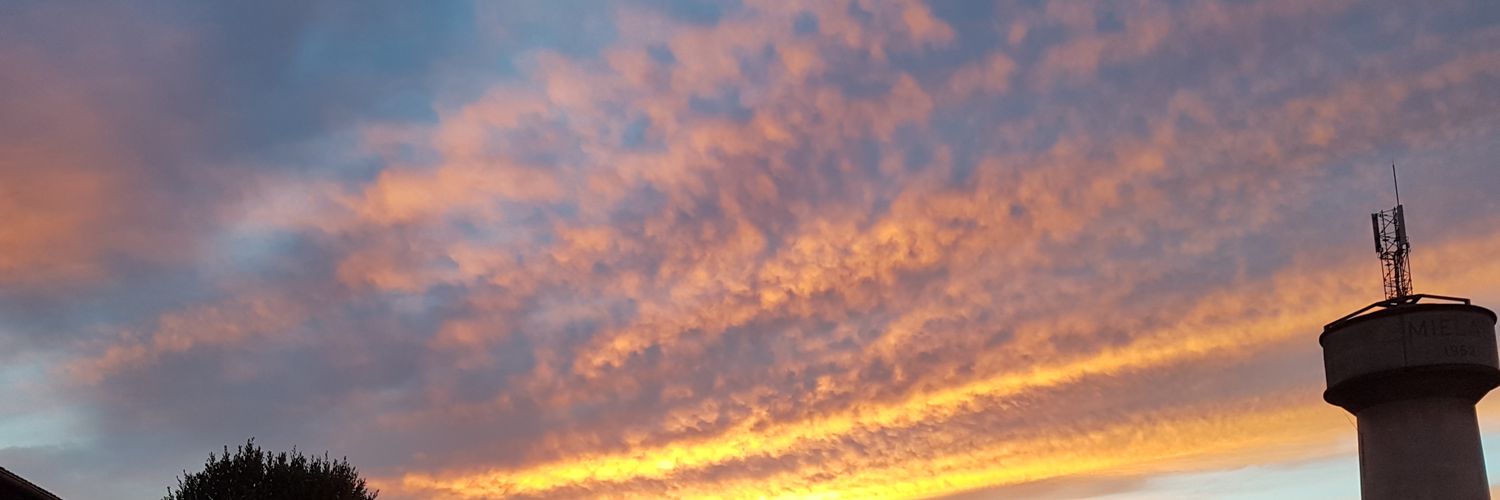 queehlet's profile banner image