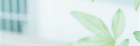 shhdbfj's profile banner image