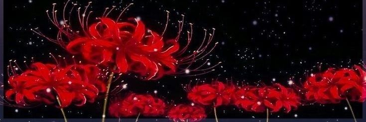 classynevie's profile banner image