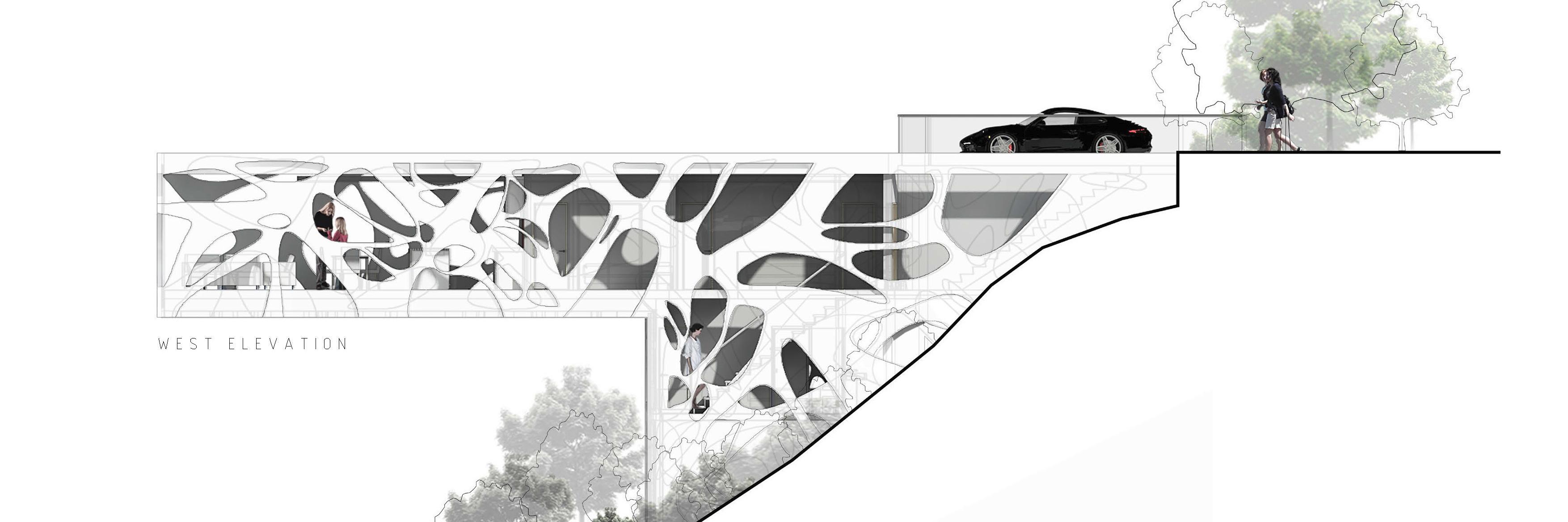 archausNZ's profile banner image