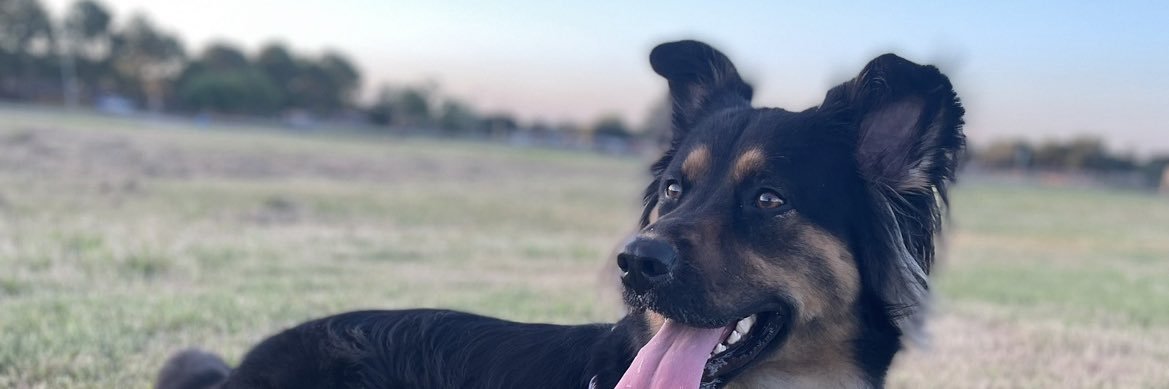 marvin_mx10's profile banner image