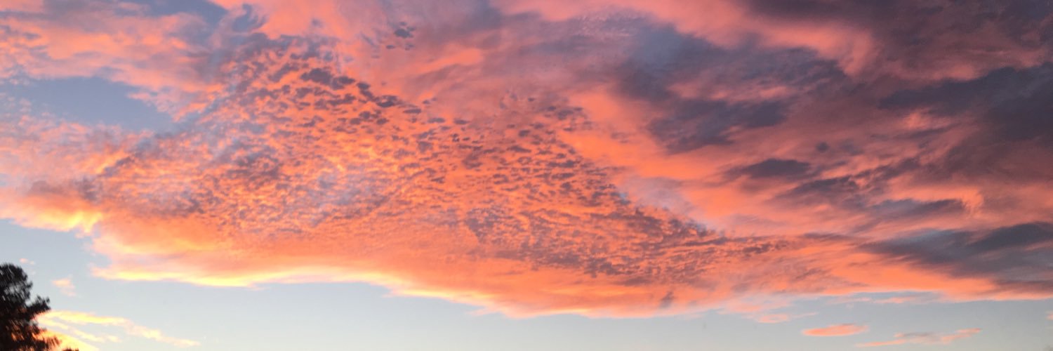 chloeament's profile banner image