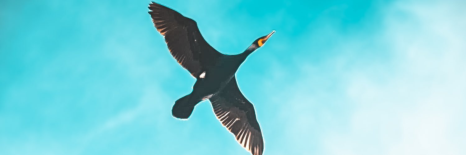 f3rriz1's profile banner image