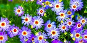 cmw726's profile banner image