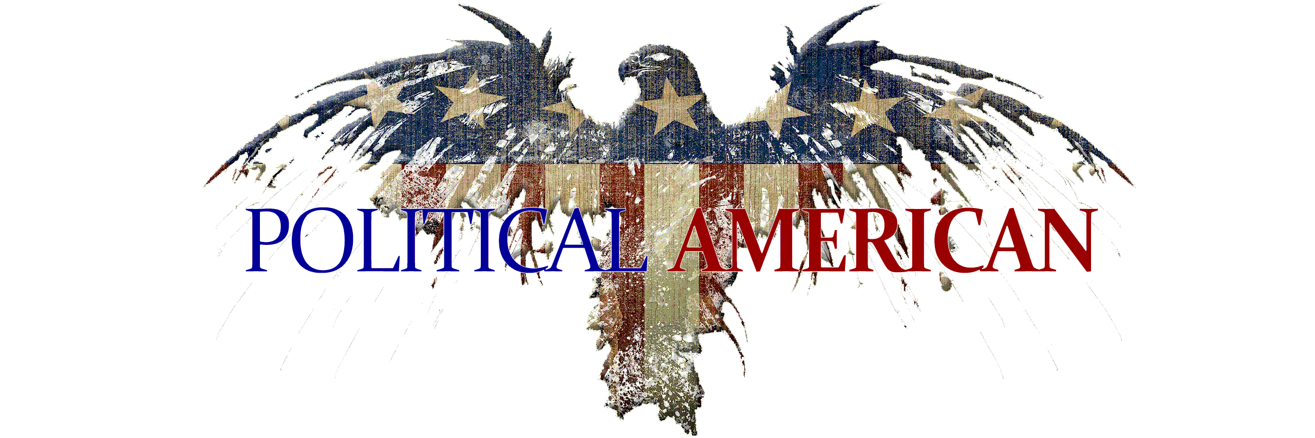 PoliticalAm's profile banner image