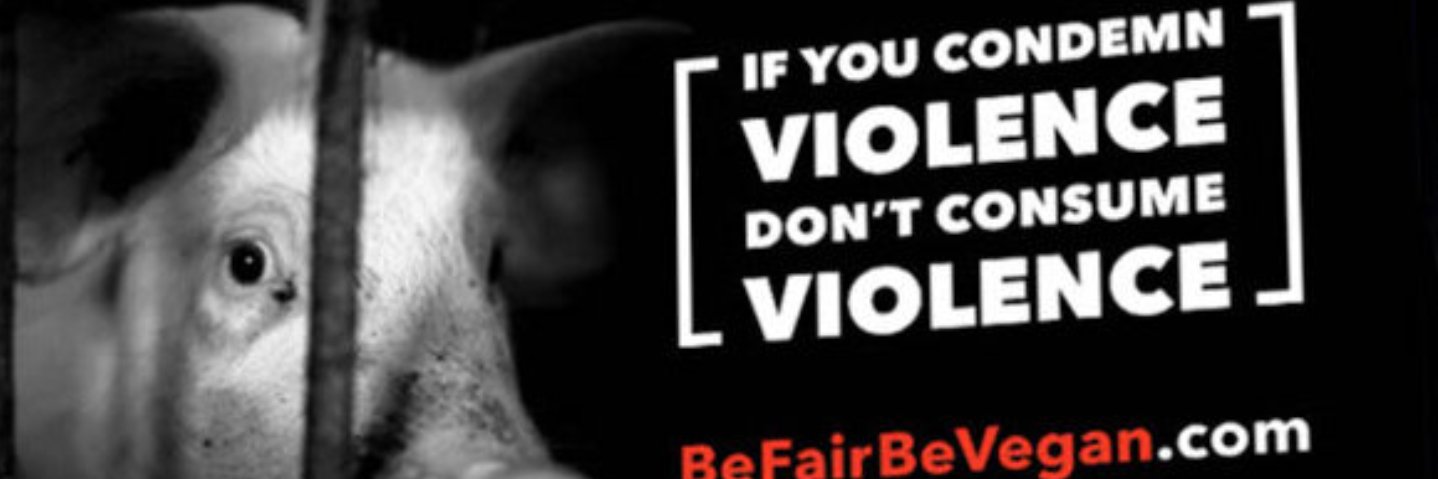 Xpat 🌱💕🐾✊🇵🇸✊ banner