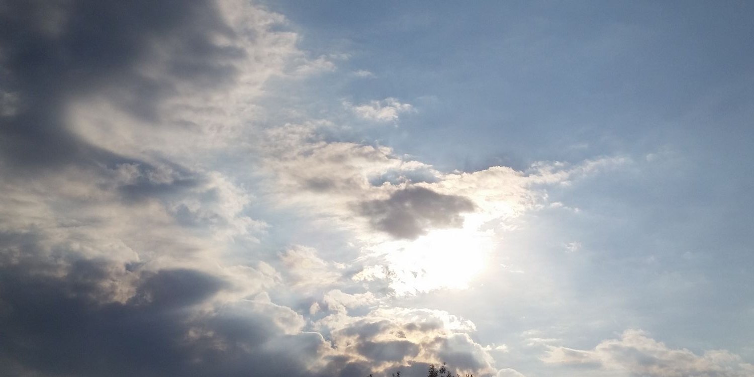 Taiwhit1026's profile banner image