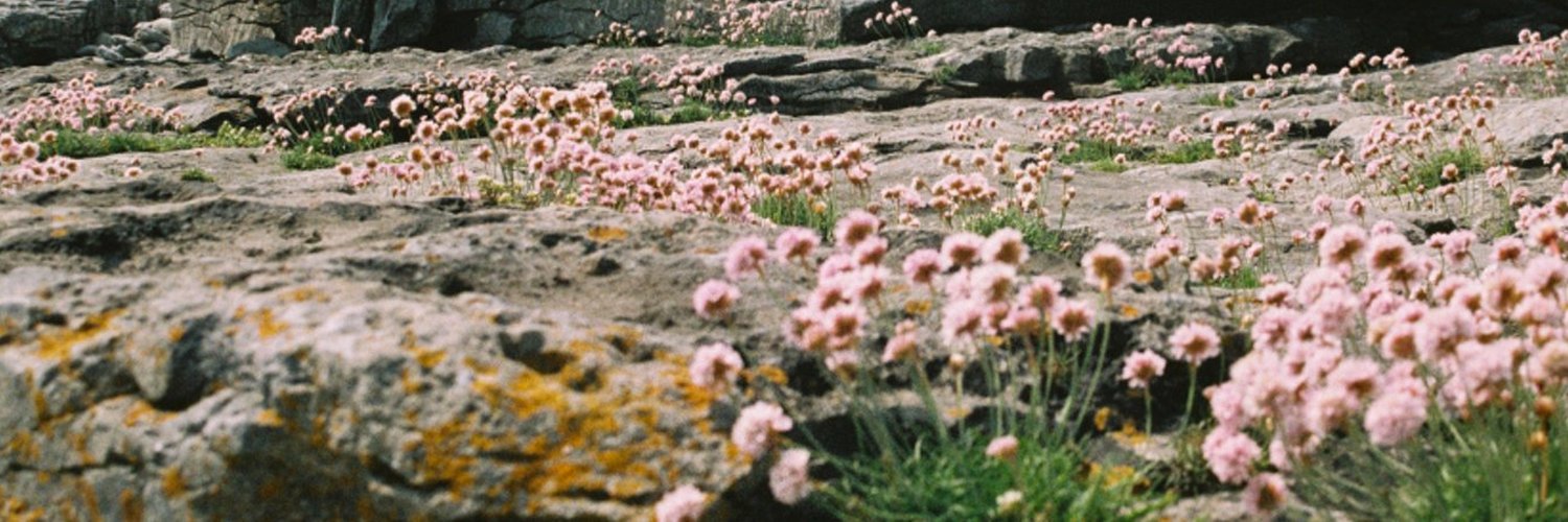 aoifeddavis's profile banner image