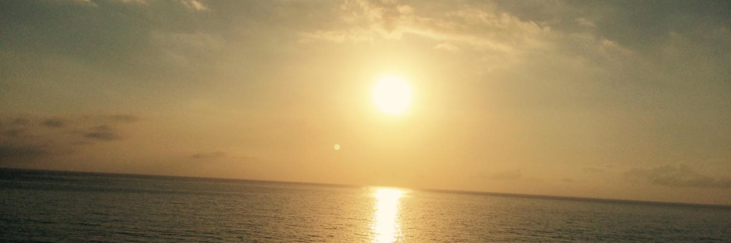 tanitor's profile banner image