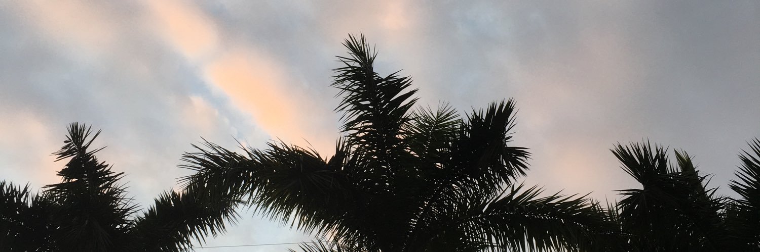 khazumn's profile banner image