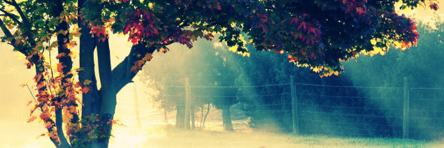 MM08463330's profile banner image