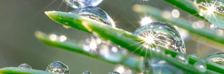 Green Cross Sweden banner