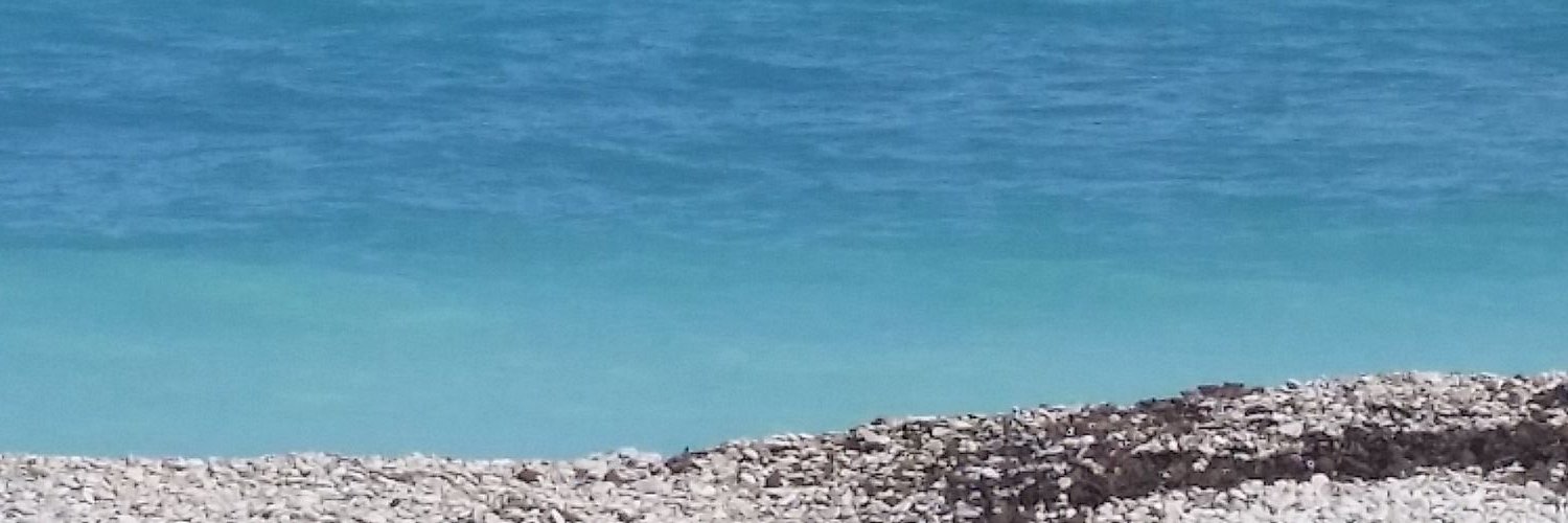 jlborrallo's profile banner image