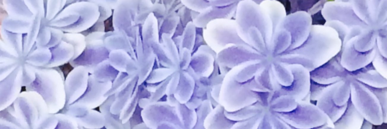 pecopecora's profile banner image