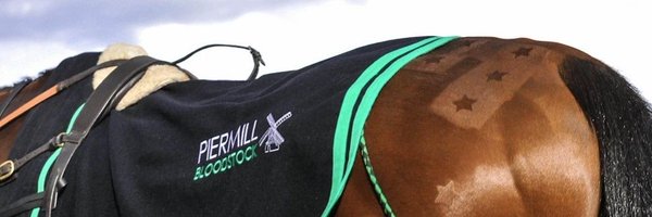 Piermill Profile Banner