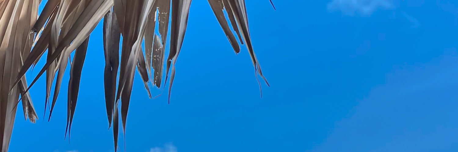 tagzmark's profile banner image