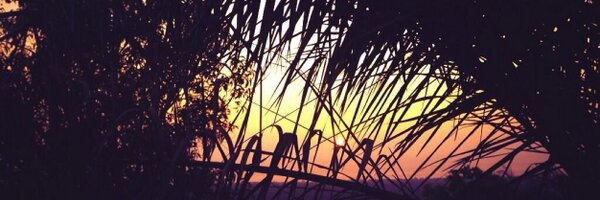 BinkyFelstead Profile Banner