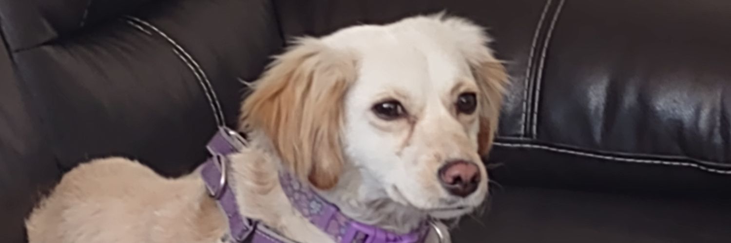 freddoo2023's profile banner image